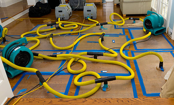 Professional Crawl Space Water Removal technician working in Nauvoo, AL